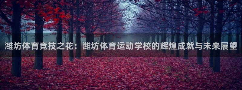 J9官方正版app集团官网首页网址