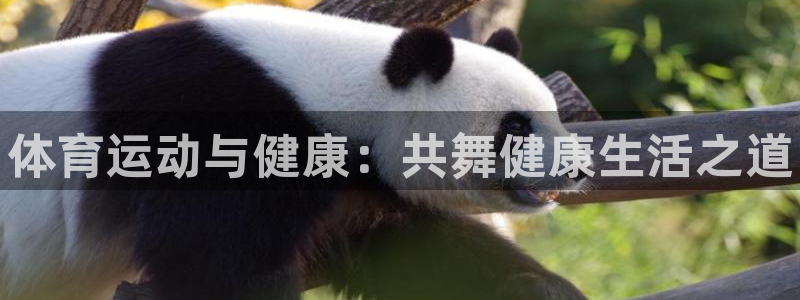 J9官方集团官网