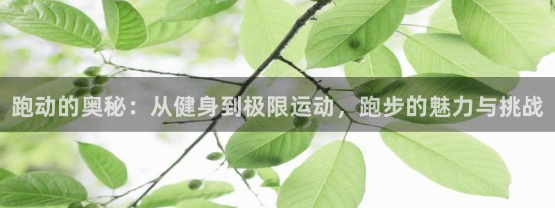 J9官网下载招商电话号码是多少