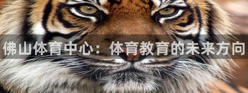 J9官网下载平台注册：佛山体育中心：体育教育的未来方向
